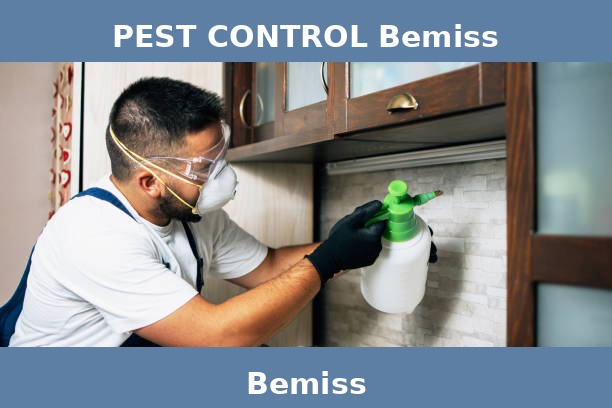 PEST CONTROL Bemiss